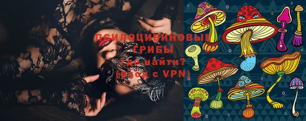 спайс Алексин