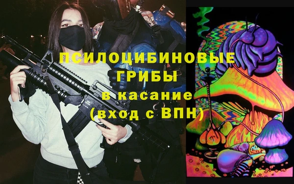 молекула духа Алексеевка