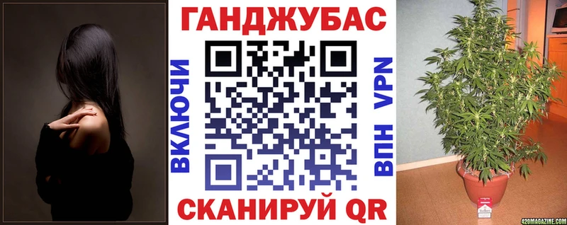 Бошки марихуана Amnesia  блэк спрут рабочий сайт  Сасово 